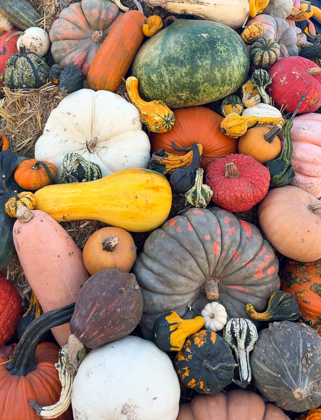 Louisville: Best Places to Grab Thanksgiving&nbsp;Dishes